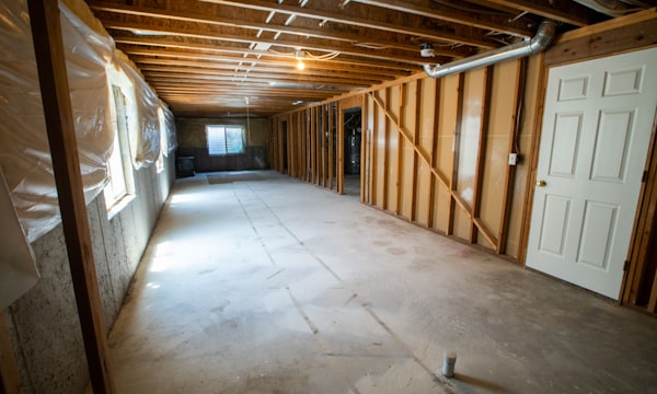 Organized basement storage with labeled bins on shelving